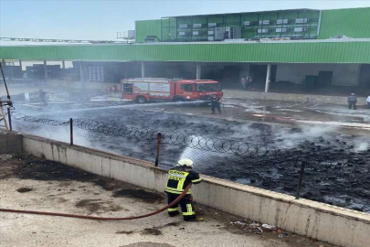 Mersin'de narenciye paketleme tesisinde çıkan yangın söndürüldü
