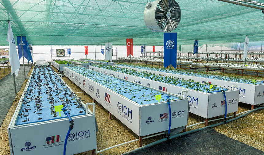 YENİLİKÇİ TARIM UYGULAMALARI SERASI