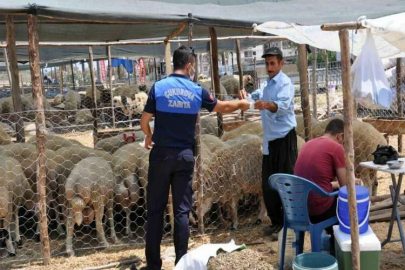 Çukurova’da Kurban satış yerleri belirlendi
