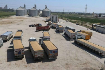 Çiftçiler TMO’nun alım merkezi  olan lisanslı depolara yöneldi