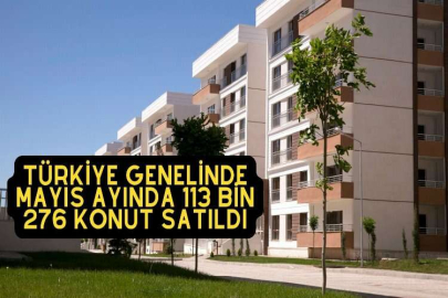 Türkiye genelinde Mayıs ayında 113 bin 276 konut satıldı