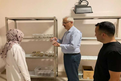 Adana'nın ormanlarını avcı böcekler koruyor