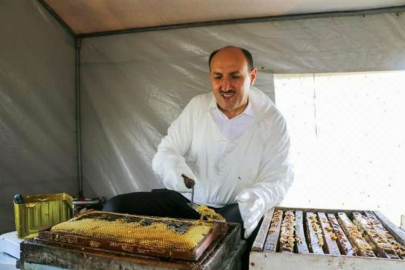 Adana’da bal hasadı başladı