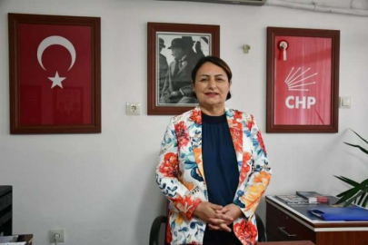 CHP Adana Milletvekili Dr. Müzeyyen Şevkin’den yerel seçimlere 9 ay kala 19 yeni il çıkışına eleştiri geldi   