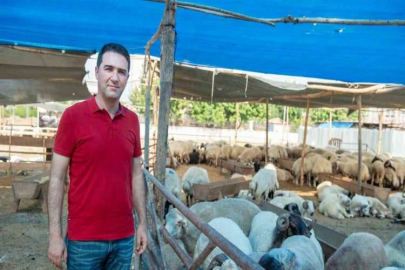 Seyhan’da Kurban Kesim Ücreti ve Satış Yerleri Belirlendi