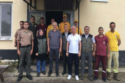 Yangın karası yerini yeşile bıraktı