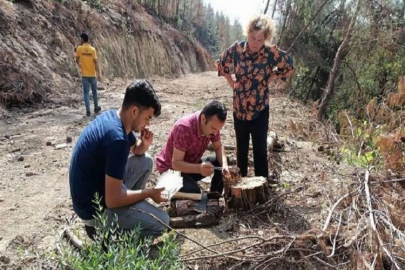 Ormanlarda biyolojik mücadele sürüyor