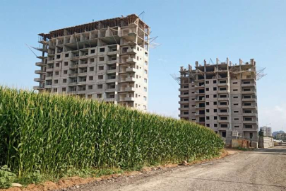 Verimli tarım arazileri parsel parsel betonlaşıyor