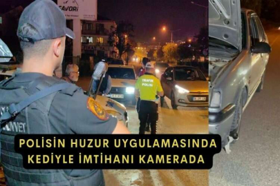 Polisin huzur uygulamasında kediyle imtihanı kamerada