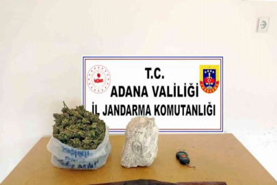 Narenciye bahçesini kenevir tarlasına çevirmişler