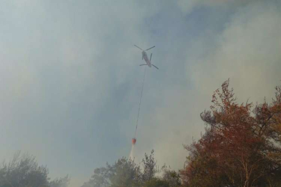 Adana'daki orman yangınında yaklaşık 30 hektar alan zarar gördü