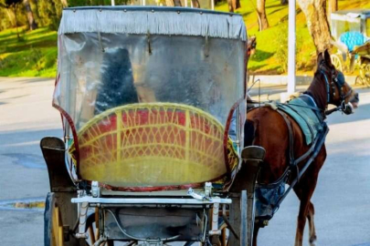 Adanalı faytoncu Mehmet, sezonu açtı