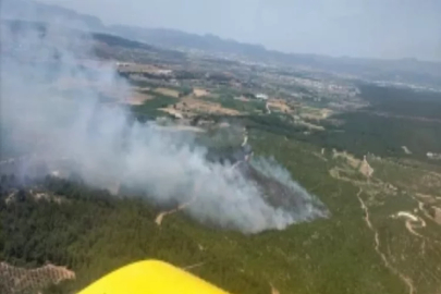 Sakarya Valiliği: "Yangın kısmen kontrol altına alındı, soğutma sürüyor"