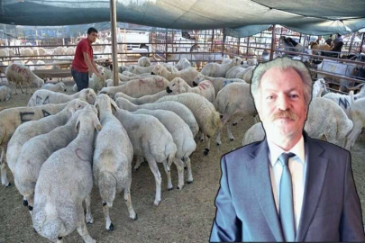 Suiçmez; Bayramda sağlığınızı kesmeyin