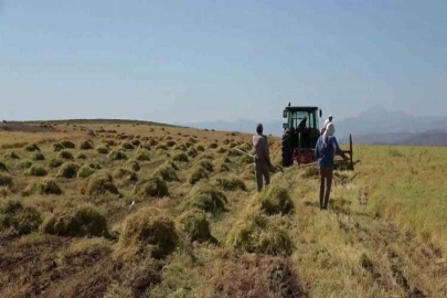 Siirt’te bayramda da hasat sürüyor