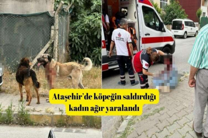Ataşehir’de kadını parçalayan köpeğin sahibi adliyeye sevk edildi