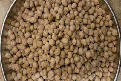 Nohut ve mercimekte sevindiren rekolte