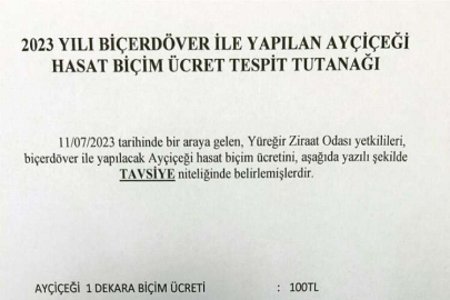 Yüreğir Ziraat Odası 2023 yılı biçerdöver ile bir dekar Ayçiçeği hasat biçim ücretini açıkladı