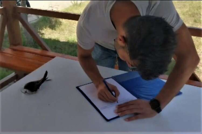 Osmaniye'de yaralı ebabil tedaviye alındı