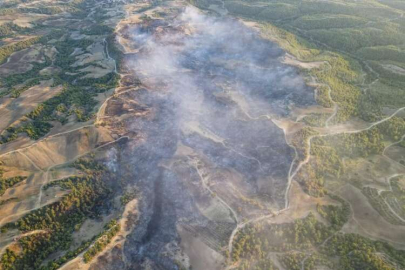 Japonya’daki orman yangını bin 400 hektarlık alanı kül etti