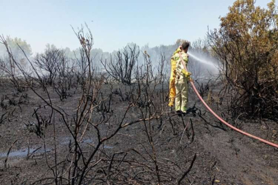 GÜNCELLEME - Manavgat'ta çıkan orman yangını kontrol altına alındı