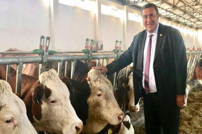 Gürer: “Yem fiyatındaki artış durmadıkça süt fiyatı artar”