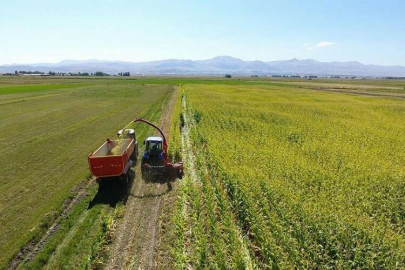 Tarımsal destek ödemeleri bugün yapılacak