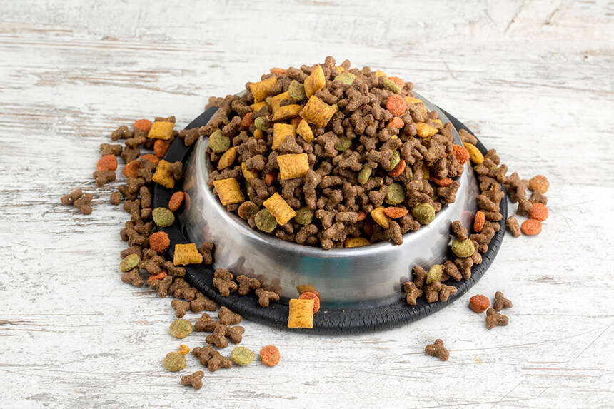 1689940904_KEDI_MAMASI2