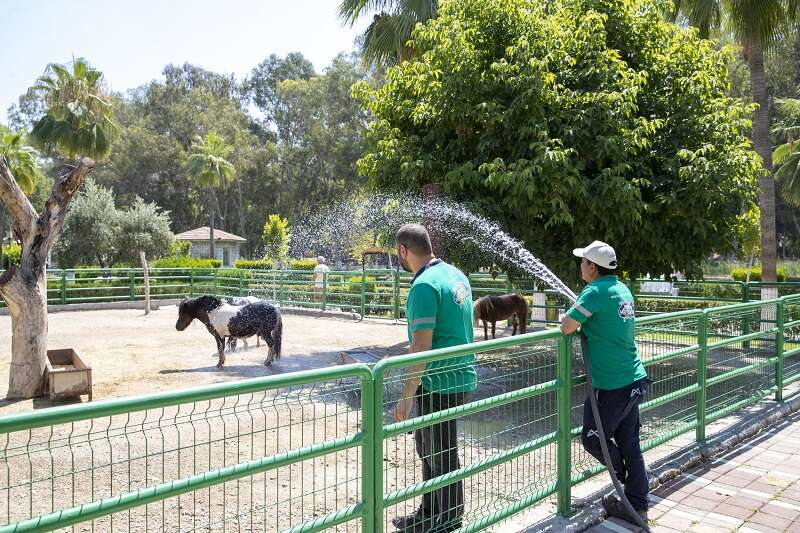 TARSUS DOĞA PARKI SAKİNLERİNE FISKİYELİ VE BUZLU MEYVELİ SERİNLİK (11)