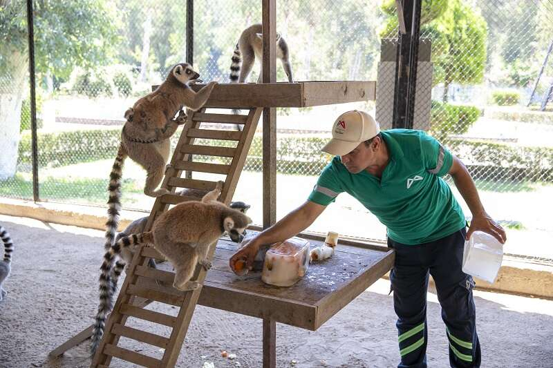 TARSUS DOĞA PARKI SAKİNLERİNE FISKİYELİ VE BUZLU MEYVELİ SERİNLİK (13)