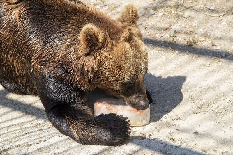 TARSUS DOĞA PARKI SAKİNLERİNE FISKİYELİ VE BUZLU MEYVELİ SERİNLİK (6)