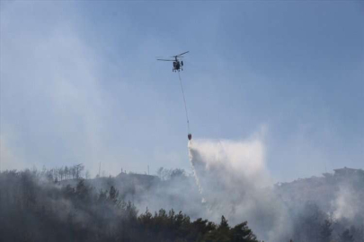 GÜNCELLEME - Hatay'da çıkan orman yangını kontrol altına alındı