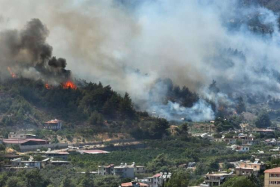 Bursa Yenişehir’de orman yangını! Alevler hayvan çiftliği ve köyleri tehdit ediyor