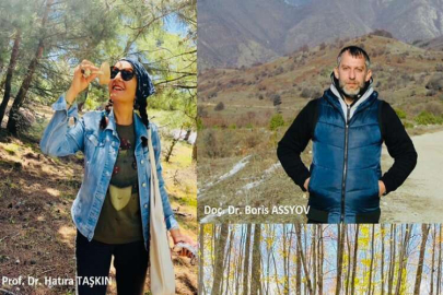 Bilim İnsanları Yeni Bir Mantar Türü Keşfetti