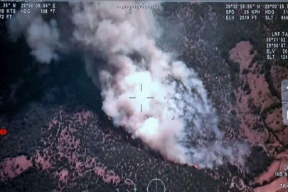 Kütahya'da orman yangını