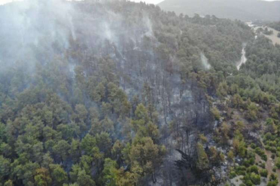 Balıkesir Havran'daki yangında havadan müdahale sabahın ilk ışıklarıyla tekrar başladı