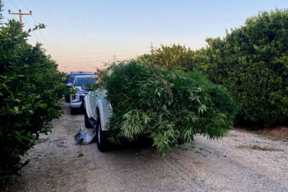 Mersin'de uyuşturucu operasyonlarında yakalanan 6 zanlıdan 2'si tutuklandı