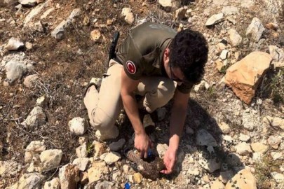 Mersin'de polis, bitkin haldeki kerkenezin yaşama tutunmasını sağladı