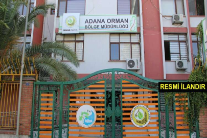 BALCALI OİŞ İDARİ BİNA BAKIM ONARIM VE ÇEVRE DÜZENLEME İŞİ