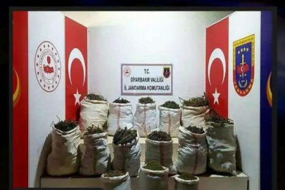 Diyarbakır'da narko-terör operasyonu: Milyonlarcası ele geçirildi