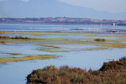 Danıştay'dan ‘Yumurtalık Lagünleri’ kararı