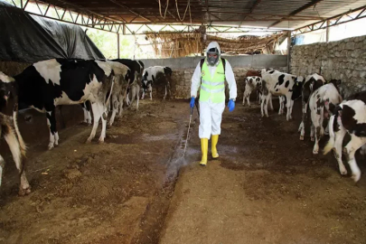 Yüreğir Belediyesi, kırsal mahallelerde vektörle mücadele başlattı