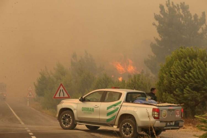 Sinop’ta orman yangını: Köy tahliye edildi