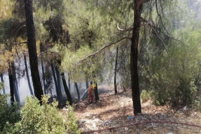 Kahramanmaraş'ta çıkan orman yangını kontrol altına alındı