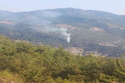 Feke'de ormanlık alanda yangın çıktı
