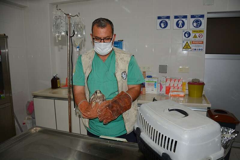 Tarsus Doğa Parkı-2