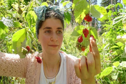 KARS - 2 bin 500 rakımda doğal böğürtlen bereketi yaşanıyor