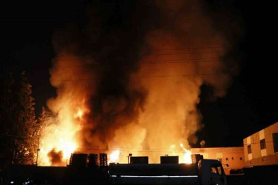 Adana’da palet deposu alevlere teslim oldu