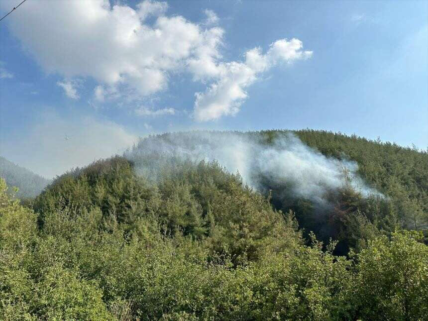 AA-20230909-32110159-32110156-OSMANIYEDE_ORMAN_YANGINI_CIKTI