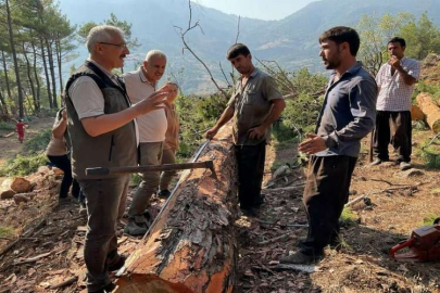 Yılmaz: Yapılan çalışmalar artarak devam edecek